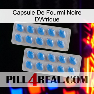 Africa Black Ant Capsule 23